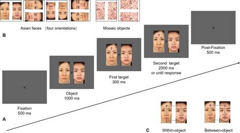 horizontal for attention vertical for results|Can faces affect object.